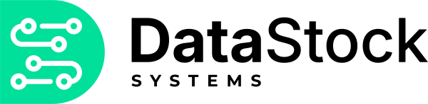 DataStock Systems Logo